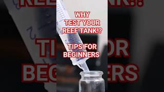 Want A Successful Reef Tank? DO THIS! #reeftank