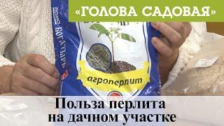 Голова садовая - Польза перлита на дачном участке