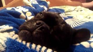 VIDEO0004