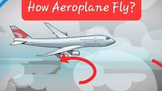 How Aircraft Fly? | Motion of Aircraft | Flying Blends ~ Orchids eLearning | General Knowledge