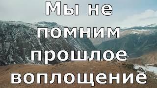 Почему мы не помним прошлое воплощение