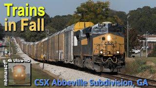 [8a][4k] Trains in Fall on the CSX Abbeville Subdivision, GA 10/23-26/2024