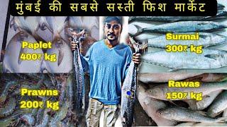 Wholesale Fish Market in Mumbai CST 2024 | मुंबई की सबसे सस्ती फिश मार्केट| #seafood #fish #food