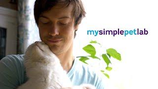 Redefining Pet Care, For All - At MySimplePetLab