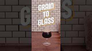 Brewing the best beer of the world | Grain to Glass