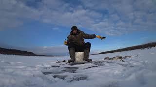 Дикий клев окуня -4 catch of perch 2018, part 4 Yakutia Якутия