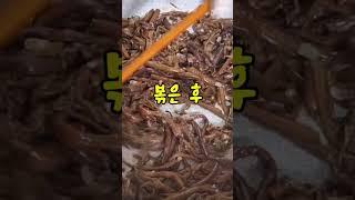 혈압을 조절해주는 고소한 고사리나물