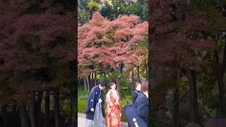 JAPAN AUTUMN #japan #japanexplorer #japantravel #satisfying #travel #new #short #ootd #kimono