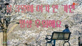 올 봄엔 꼭 가요 여기는 하동 벚꽃 십리길 Let's go there this spring. This is Hadong Cherry Blossom Road.