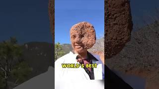 The Best Hide-and-Seek Player in the World! Even the Police Couldn't Find Him! #viralvideo #fyp