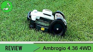 Ambrogio 4 36 Review & Torture Test - Robot Lawn Mowers Australia