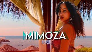 " MIMOZA " Oriental Reggaeton Beat x Balkan Oriental Instrumental | Prod by NEUERBEATZ