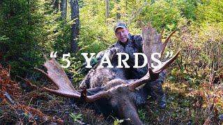 "5 Yards" - Archery Moose Hunt of a Lifetime!