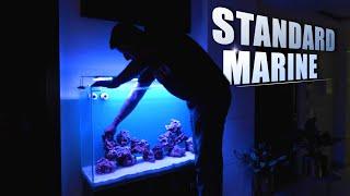 STANDARD MARINE set up for YOUR HOME | seascapes marine aquarium