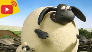 LIVE  New Full Episodes | Shaun the Sheep Cartoons for Kids | Preschool Fun, Pranks & Relaxation