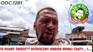 Te psiary święte?? Ostateczny odbiór nowej chaty... I co? Odc.1281