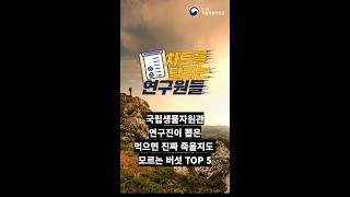 국립생물자원관 연구진이 뽑은 먹으면 진짜 죽을지도 모르는 버섯 TOP 5 #shorts