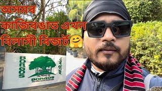 #borgos #resort #kaziranganationalpark | Most Luxurious Resort, Kaziranga || Assam ||