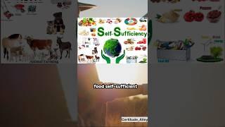 Food self-sufficient countries #geopolitics #economy #food #agriculture #selfsufficiency