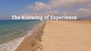 The Knowing of Experience - #rupertspira Music By Paul Wilkinson