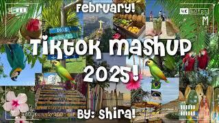 Tiktok Mashup 2025! 