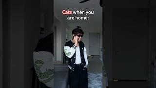 Dogs vs Cats when you are home