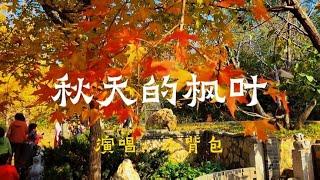 秋天的枫叶，是离别，是思念，是等待……#秋天的思念#歌曲#音乐