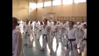 Okinawa Ryuibukan Academy. Italy Seminar March, 2015. Junbi Undo