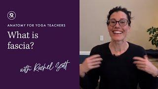 What is Fascia? Learn Yoga Anatomy with Rachel