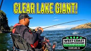 I Hooked Into A BIG CLEAR LAKE BASS And This Happened! West Coast Championship Day 2