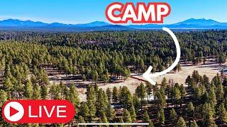 LIVE FROM CAMP - FLAGSTAFF, AZ FLY FISHING TRIP