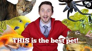 The Best Pet REVEALED!