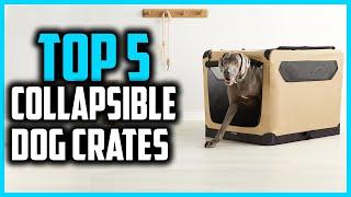 Top 5 Best Collapsible Dog Crates for Portable Comfort and Easy Storage