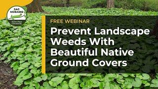 Prevent Landscape Weeds With Beautiful Native Ground Covers​