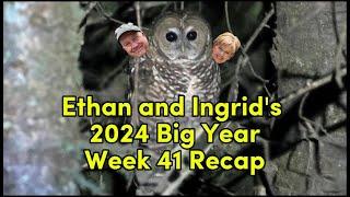 Ethan and Ingrid's 2024 Big Year (Week 41)