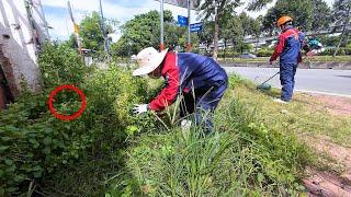 Free Lawn Cleanup - The Warehouse Owner Wanted Us to QUIT.