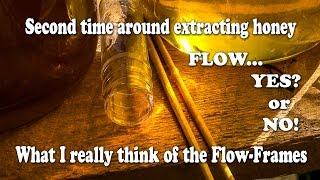 The Flow Hive for Honey Bees 2nd Honey Harvest Review and Testing