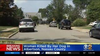 Long Island woman attacked, killed by son's pit bull