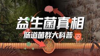 E193｜吃益生菌是智商税吗？全面复盘肠道健康迷思