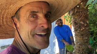 Name that Agave, a Palm Tree Privacy Screen, & a Tortoise Sanctuary