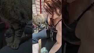 kitty helps me chase da poomp! for de mooscles~ #fitness #motivation #cats #workout