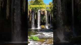 Zen Yoga & Relaxation Music, Positive Energy & Deep Sleep! Nature Sounds!