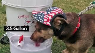 Automatic Dog Water Dispenser