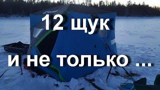 12 щук на жерлицы и не только. Рыбалка в Канаде зимой.