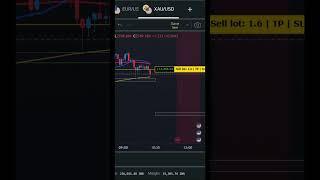 bearish candle  | option trading  |  forex trading in exness | forex trading me 5k to 50k 