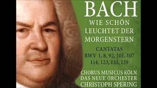 J. S. Bach – Cantatas BWV 1,8,92,101,107,114,123,133,139 – Ch. Spering (3CD - 2024)