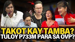 GRACE POE BISTADO! TAKOT KAY TAMBA AT ZALDY CO P733 MILLION BUDGET DINA GINALAW LIZA AT TAMBA NAKAKA