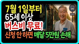 7월 1일부터 65세 이상 버스비 무료! 신청 안 하면 매달 5만원 손해 | 2025년 어르신 교통비 지원 총정리 #노노지혜