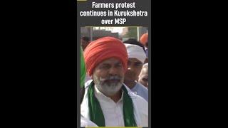 Farmer's Protest continues in Haryana's Kurukshetra over MSP #shorts