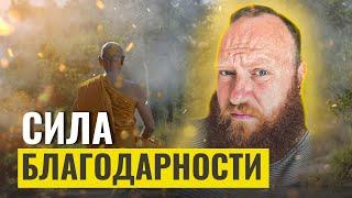 СИЛА БЛАГОДАРНОСТИ